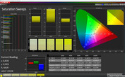 CalMan Farbsättigung (Zielfarbraum AdobeRGB) - Profil: Anpassbar