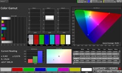 CalMAN Farbraum sRGB