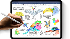 Das Apple iPad bleibt ein Bestseller und Booster für den Tablet-PC-Markt in Westeuropa. Bei Desktops, Laptops und Workstations ist HP vor Lenovo, Dell, Apple und Acer die Nummer 1.