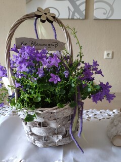 Xiaomi M Mix 3 - Photo-Modus