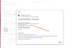 Suchen Sie ARC im About-ChromeOS-Dialog. (Quelle: Digital Trends)