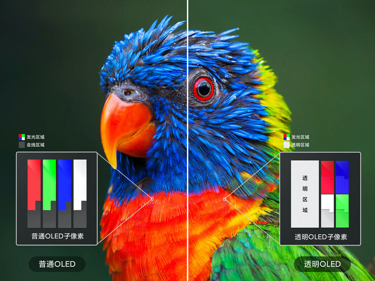 Die Pixel-Struktur im transparenten TV (rechts) weicht deutlich von jener eines normalen OLED-Fernsehers ab.