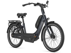 Easyflow C8: Komfortables E-Bike (Bildquelle: Gazelle)