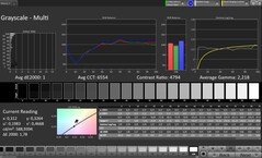 Graustufen (Profil: Professionell, Zielfarbraum: sRGB) - Außendisplay