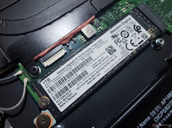 Das TravelMate P6 bietet nur einen einzigen M.2 2280-Steckplatz für NVMe-SSDs