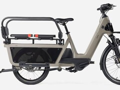 Ein neues Longtail von Decathlon dürfte auch mit einem Rückpolster starten (Bildquelle: Decathlon, via Cleanrider)