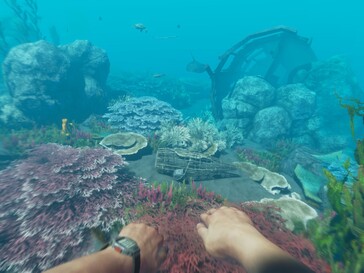 Auch die Unterwasserwelt in Stranded Deep lässt sich erkunden.