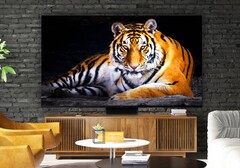 Der TCL QM8 Smart TV setzt auf eine Mini-LED-Hintergrundbeleuchtung mit über 2.300 Dimming-Zonen. (Bild: TCL)