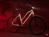 Das Raleigh One ist jetzt auch mit Tiefeinsteiger-Rahmen erhältlich.