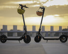 Segway Ninebot bietet die drei E-Scooter Kickscooter F20D, F30D und F40D mit Straßenzulassung an. (Bild: Segway-Ninebot)