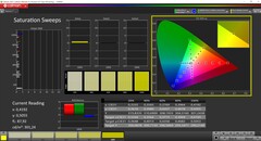 CalMAN Sättigung (Profil: sRGB, Zielfarbraum sRGB)