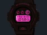Die Casio G-Shock x Hardies NYC DW-6900HH-5