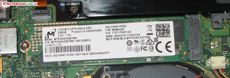 Fujitsu verbaut eine SATA-III-SSD