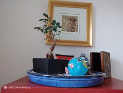 Aufnahme Frontkamera