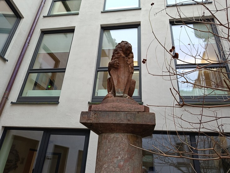 Xiaomi Redmi Note 15 4G – Aufnahme Hauptkamera