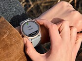 Die Garmin Fenix 6s bietet ein Gehäuse, das bis zu einer Tiefe von 10 ATM wasserfest ist. (Bild: Garmin)