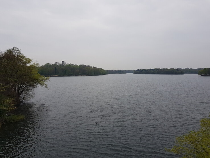 Beispielfoto mit dem Samsung Galaxy S8+