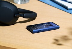 Der Sony Walkman NW-A306 verspricht Hi-Fi-Sound zum attraktiven Preis. (Bild: Sony)