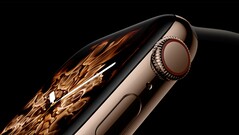 Die Apple Watch verkauft sich nach wie vor mit Abstand am besten. (Bild: Apple)
