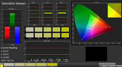 CalMAN: Farbsättigung (kalibriert)