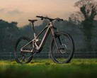 Starker Motor, leichter Rahmen: Das Mondraker Zendit R