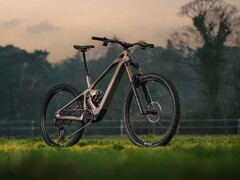 Starker Motor, leichter Rahmen: Das Mondraker Zendit R