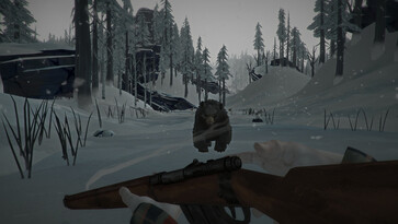 Ein Bär in The Long Dark.