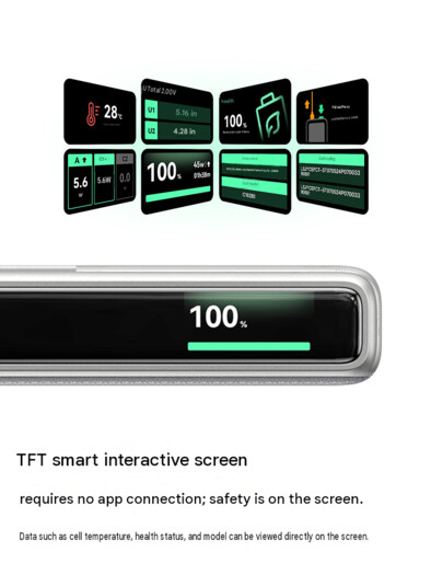 Das integrierte Display der Powerbank