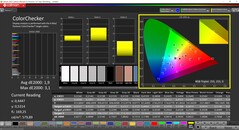 CalMAN ColorChecker (Profil: Native, Zielfarbraum: P3)