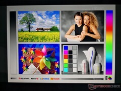 Breite IPS-Blickwinkel - Die Farben und der Kontrast verändern sich nur bei sehr breiten Einblickswinkeln.