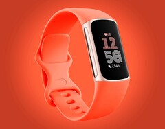 Das Fitnessarmband von Google gibts derzeit günstiger als je zuvor.