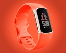 Das Fitnessarmband von Google gibts derzeit günstiger als je zuvor.