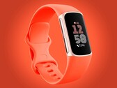 Das Fitnessarmband von Google gibts derzeit günstiger als je zuvor.