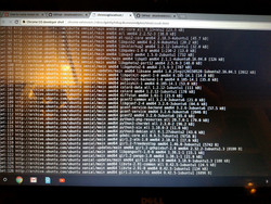 Installation von Linux in ChromeOS via chroot