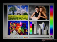 Breite IPS-Betrachtungswinkel. Kontrast und Farben verschieben sich leicht bei Betrachtung aus extremen Winkeln