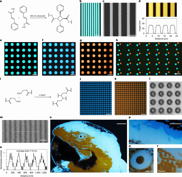 Das Forschungsteam nutzte UV-Fotolithografie, um lichtemittierende Polymere in mikroskopisch kleine Strukturen zu überführen, darunter auch das unten abgebildete Testbild eines Aras