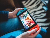 Das neueste Software-Update für die Nintendo Switch geht gegen die Homebrew-Community vor. (Bild: Erik Mclean)