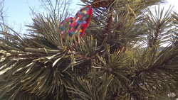 Aufnahme Frontkamera