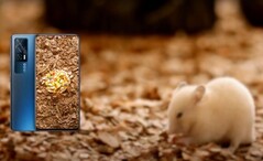 Das iQOO Neo 5 bietet ein extrem helles, 120 Hz schnelles und fast randloses AMOLED-Display. (Bild: iQOO)