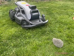 Unsere Igel-Attrappe hat der Airseekers Tron im Test zuverlässig erkannt.