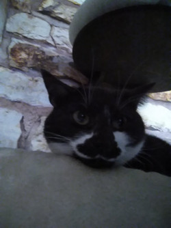 Frontkamera-Aufnahme