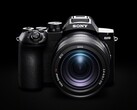 Die Sony RX10 V bietet 25-fachen optischen Zoom.