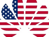 Huawei: Die ersten Handelslizenzen für US-Unternehmen wurden laut Washington Post genehmigt.