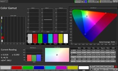 Farbraum (Profil: Professionell, Zielfarbraum: sRGB) - Innendisplay