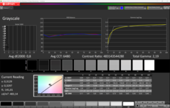 CalMAN Graustufen (kalibriert)