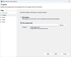 Pfad zur UplayWebCore.exe angeben
