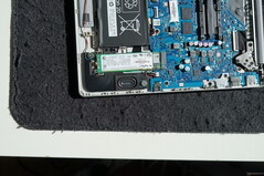 Teardown HP 255 G10
