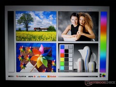 Breite IPS-Betrachtungswinkel. Kontrast und Farbe ändern sich nur bei Betrachtung aus extremen Winkeln