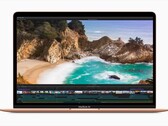 Apples jüngste M1-MacBooks bieten eine beeindruckende Performance beim Export von Videos in Final Cut Pro. (Bild: Apple)
