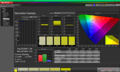 Sättigungsdurchläufe (P3)